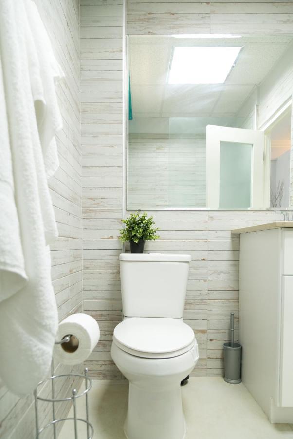 Choose To Be Happy At Seymour # 9 And #16 - Studio Apartments Кингстон Экстерьер фото